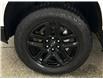 2024 Chevrolet Silverado 1500 LT Trail Boss (Stk: 43307J) in Belleville - Image 29 of 29