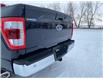 2021 Ford F-150 Lariat (Stk: 25387A) in Melfort - Image 19 of 20