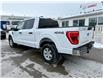 2023 Ford F-150  (Stk: PD68533T) in WHITBY - Image 3 of 40