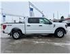 2023 Ford F-150  (Stk: PD68533T) in WHITBY - Image 6 of 40