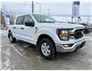 2023 Ford F-150  (Stk: PD68533T) in WHITBY - Image 7 of 40