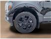 2024 Ford F-150 Platinum (Stk: 25476A) in Melfort - Image 10 of 18