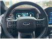 2023 Ford F-150 Lariat (Stk: 25P171) in Kamloops - Image 14 of 25