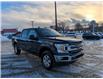 2019 Ford F-150  (Stk: F1262A) in Miramichi - Image 7 of 13
