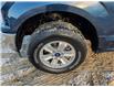 2019 Ford F-150  (Stk: F1262A) in Miramichi - Image 9 of 13