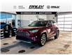2019 Toyota RAV4 Limited (Stk: V3308) in Prince Albert - Image 1 of 14