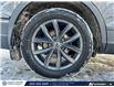 2023 Volkswagen Tiguan Comfortline (Stk: SU7688) in Calgary - Image 5 of 20