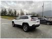 2020 Jeep Cherokee Trailhawk (Stk: 6T046A) in Hope - Image 3 of 12