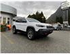 2020 Jeep Cherokee Trailhawk (Stk: 6T046A) in Hope - Image 7 of 12
