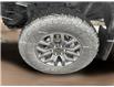2023 Ford F-150 Tremor (Stk: 25144A) in Melfort - Image 12 of 22