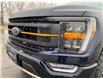 2023 Ford F-150 Tremor (Stk: 25144A) in Melfort - Image 19 of 22
