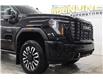 2025 GMC Sierra 2500HD Denali Ultimate (Stk: T3104A) in Watrous - Image 14 of 45