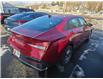 2024 Hyundai Elantra Preferred (Stk: GFW102A) in Grand Falls-Windsor - Image 4 of 11
