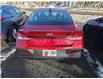2024 Hyundai Elantra Preferred (Stk: GFW102A) in Grand Falls-Windsor - Image 5 of 11