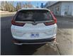 2020 Honda CR-V Sport (Stk: 22849A) in Grand Falls-Windsor - Image 5 of 12