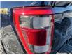 2022 Ford F-150 Tremor (Stk: P7316) in Oakville - Image 10 of 24