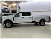2024 Ford F-250 XLT (Stk: C5315) in Saint-Eustache - Image 2 of 29