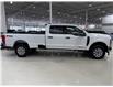 2024 Ford F-250 XLT (Stk: C5315) in Saint-Eustache - Image 5 of 29