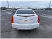 2016 Cadillac XTS Luxury Collection (Stk: LC1S00311C) in Tilbury - Image 4 of 7