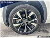 2024 Volkswagen Atlas 2.0 TSI Execline (Stk: 1V0769) in Kitchener - Image 15 of 21