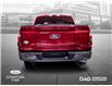 2025 Ford F-150 King Ranch (Stk: 251091) in Toronto - Image 3 of 24