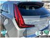2023 Cadillac XT4 Luxury (Stk: 25G506AA) in Tillsonburg - Image 10 of 23