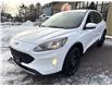 2022 Ford Escape SEL (Stk: A-A77097) in Moncton - Image 4 of 20
