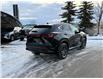 2024 Lexus NX 350 Base (Stk: 260235A) in Calgary - Image 3 of 19