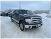 2013 Ford F-150 XLT (Stk: U78337) in Hague - Image 3 of 15