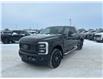 2026 Ford F-350  (Stk: T32978) in Hague - Image 4 of 14