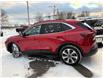 2024 Ford Escape Platinum in Sussex - Image 3 of 16