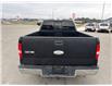 2007 Ford F-150 XLT (Stk: X065448X) in Cranbrook - Image 4 of 20