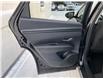 2024 Hyundai Tucson  (Stk: 251627) in Ottawa - Image 18 of 21