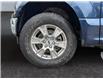 2018 Ford F-150  (Stk: 15273) in Golden - Image 16 of 16