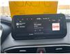 2023 Hyundai Santa Fe Ultimate Calligraphy (Stk: 5B049A) in Chatham - Image 19 of 29 2023 Hyundai Santa Fe Ultimate Calligraphy (Stk: 5B049A) in Chatham - Image 19 of 29