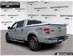 2014 Ford F-150 XLT (Stk: P11679A) in Brantford - Image 4 of 18
