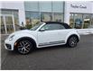 2019 Volkswagen Beetle 2.0 TSI Dune (Stk: TC0871) in Orleans - Image 3 of 24 2019 Volkswagen Beetle 2.0 TSI Dune (Stk: TC0871) in Orleans - Image 3 of 24