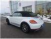 2019 Volkswagen Beetle 2.0 TSI Dune (Stk: TC0871) in Orleans - Image 4 of 24 2019 Volkswagen Beetle 2.0 TSI Dune (Stk: TC0871) in Orleans - Image 4 of 24