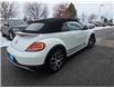 2019 Volkswagen Beetle 2.0 TSI Dune (Stk: TC0871) in Orleans - Image 7 of 24 2019 Volkswagen Beetle 2.0 TSI Dune (Stk: TC0871) in Orleans - Image 7 of 24