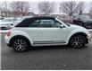 2019 Volkswagen Beetle 2.0 TSI Dune (Stk: TC0871) in Orleans - Image 8 of 24 2019 Volkswagen Beetle 2.0 TSI Dune (Stk: TC0871) in Orleans - Image 8 of 24