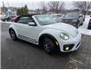 2019 Volkswagen Beetle 2.0 TSI Dune (Stk: TC0871) in Orleans - Image 9 of 24 2019 Volkswagen Beetle 2.0 TSI Dune (Stk: TC0871) in Orleans - Image 9 of 24