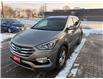 2017 Hyundai Santa Fe Sport 2.4 Base in Sarnia - Image 8 of 22