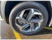 2022 Hyundai Tucson Hybrid Ultimate (Stk: T046A) in Chatham - Image 11 of 29