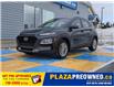 2019 Hyundai Kona 2.0L Preferred (Stk: M251133) in Mount Pearl - Image 1 of 18