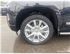 2023 Chevrolet Silverado 1500 High Country (Stk: 26241A) in Port Hope - Image 5 of 19