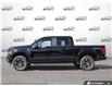 2025 Ford F-150 STX (Stk: FH407) in Sault Ste. Marie - Image 3 of 21