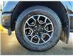 2023 Ford F-150 XLT (Stk: 25P177) in Kamloops - Image 6 of 25