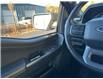2023 Ford F-150 XLT (Stk: 25P177) in Kamloops - Image 17 of 25