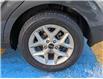 2022 Kia Soul EX (Stk: A25184) in Mount Pearl - Image 7 of 18