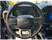 2023 Ford F-150 Tremor (Stk: 25349A) in Melfort - Image 17 of 22